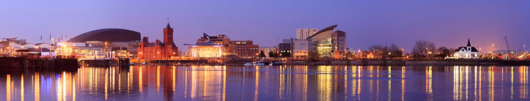 Cardiff Bay Landscape