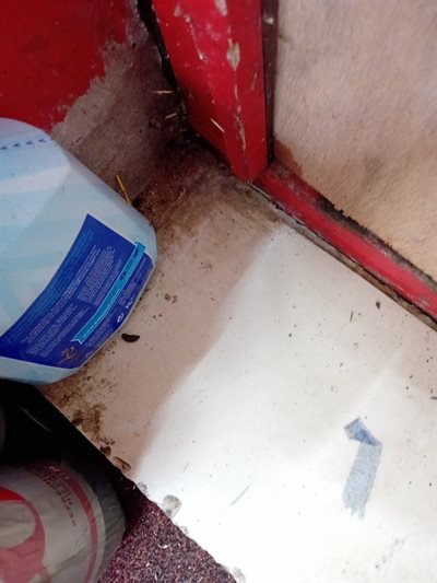 ESG 16 - Droppings next to back door