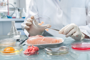 Quality control expert inspecting at food specimen in the laboratory