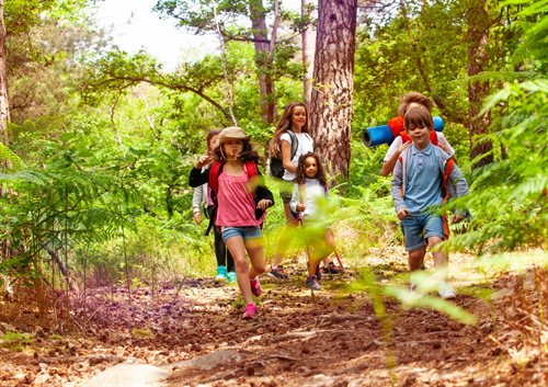 Forest school 2
