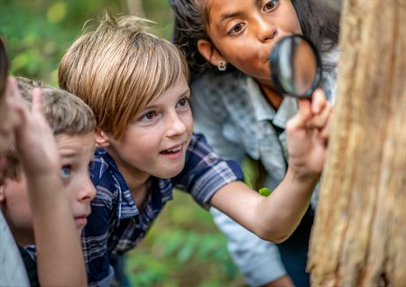 Forest school (1)