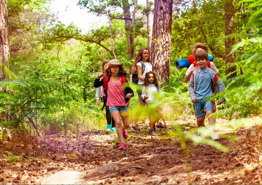 Forest school 2 (1)