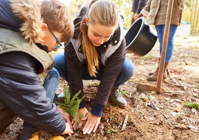 Forest school 3 (1)