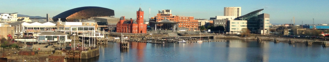 SRS Home page Bae Caerdydd
