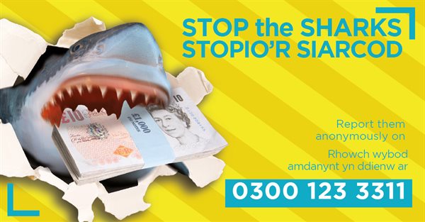 The Loan Sharks